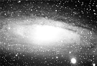 M31
